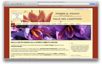 Zafferano della Toscana